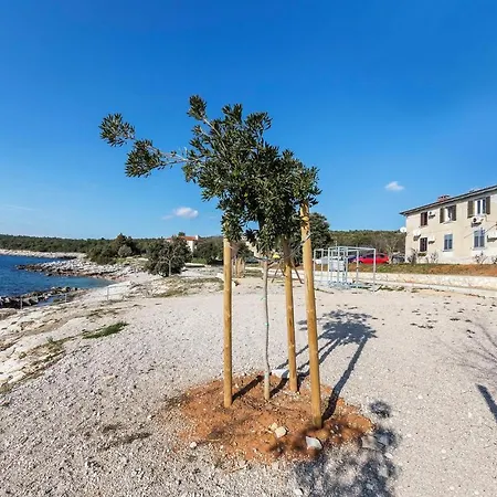 2 Bedroom Nice In Apartment